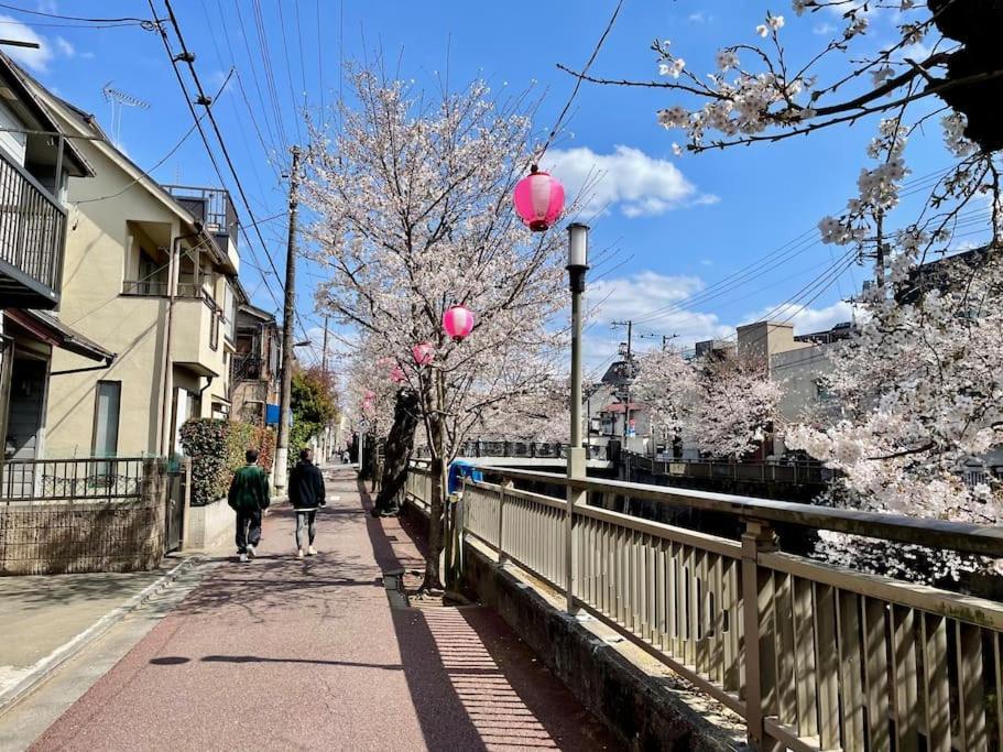 公寓 都内桜名所寝室から桜観賞リノベーリョン一軒家池袋エリア中板橋駅