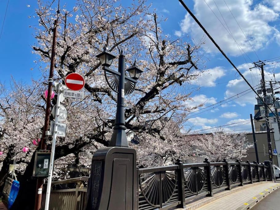 公寓 都内桜名所寝室から桜観賞リノベーリョン一軒家池袋エリア中板橋駅 東京都