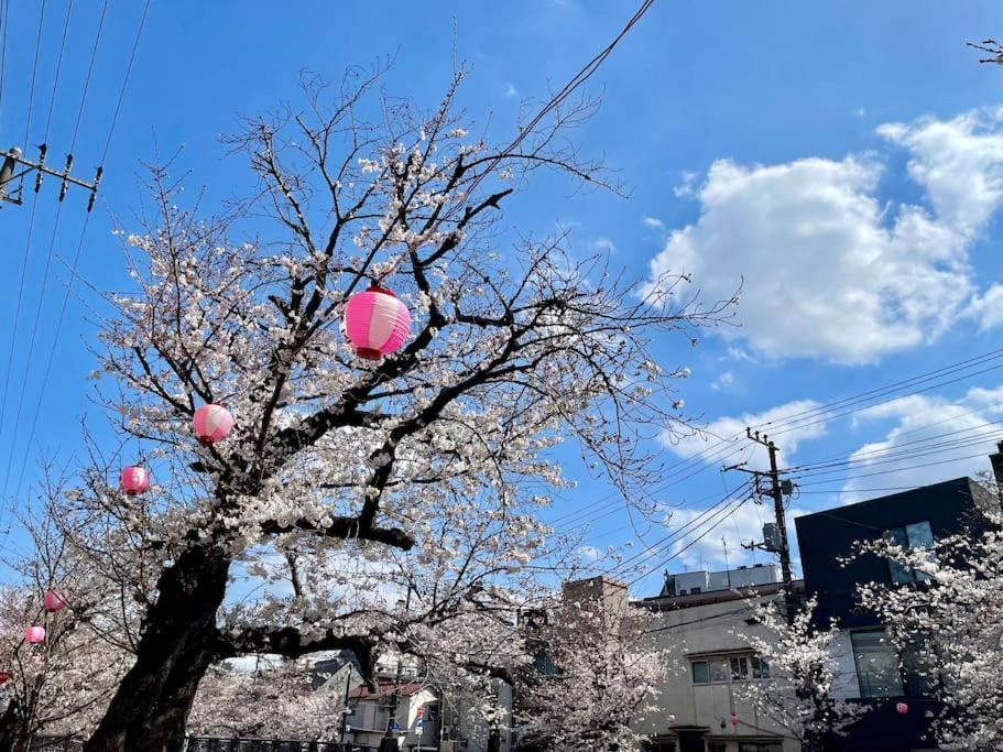 都内桜名所寝室から桜観賞リノベーリョン一軒家池袋エリア中板橋駅 公寓