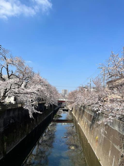 都内桜名所寝室から桜観賞リノベーリョン一軒家池袋エリア中板橋駅 * 東京都