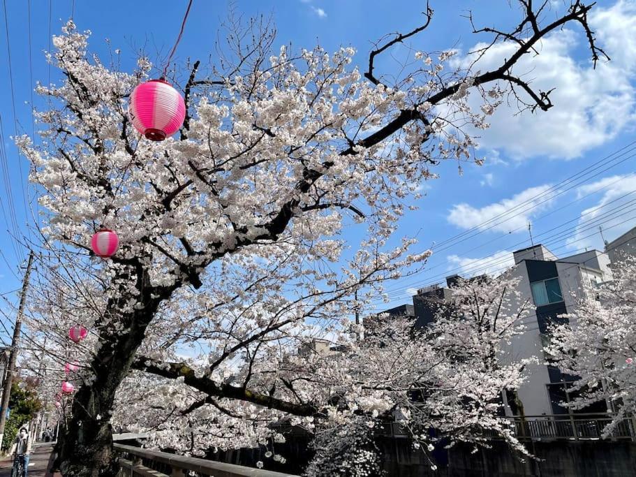 公寓 都内桜名所寝室から桜観賞リノベーリョン一軒家池袋エリア中板橋駅 *