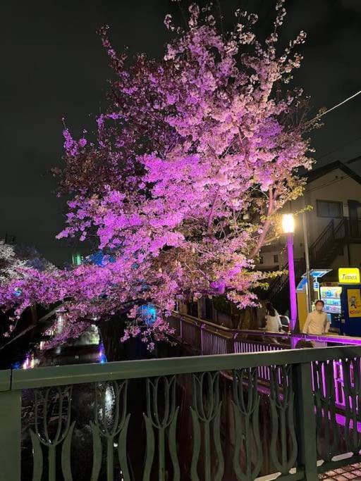公寓 都内桜名所寝室から桜観賞リノベーリョン一軒家池袋エリア中板橋駅 *